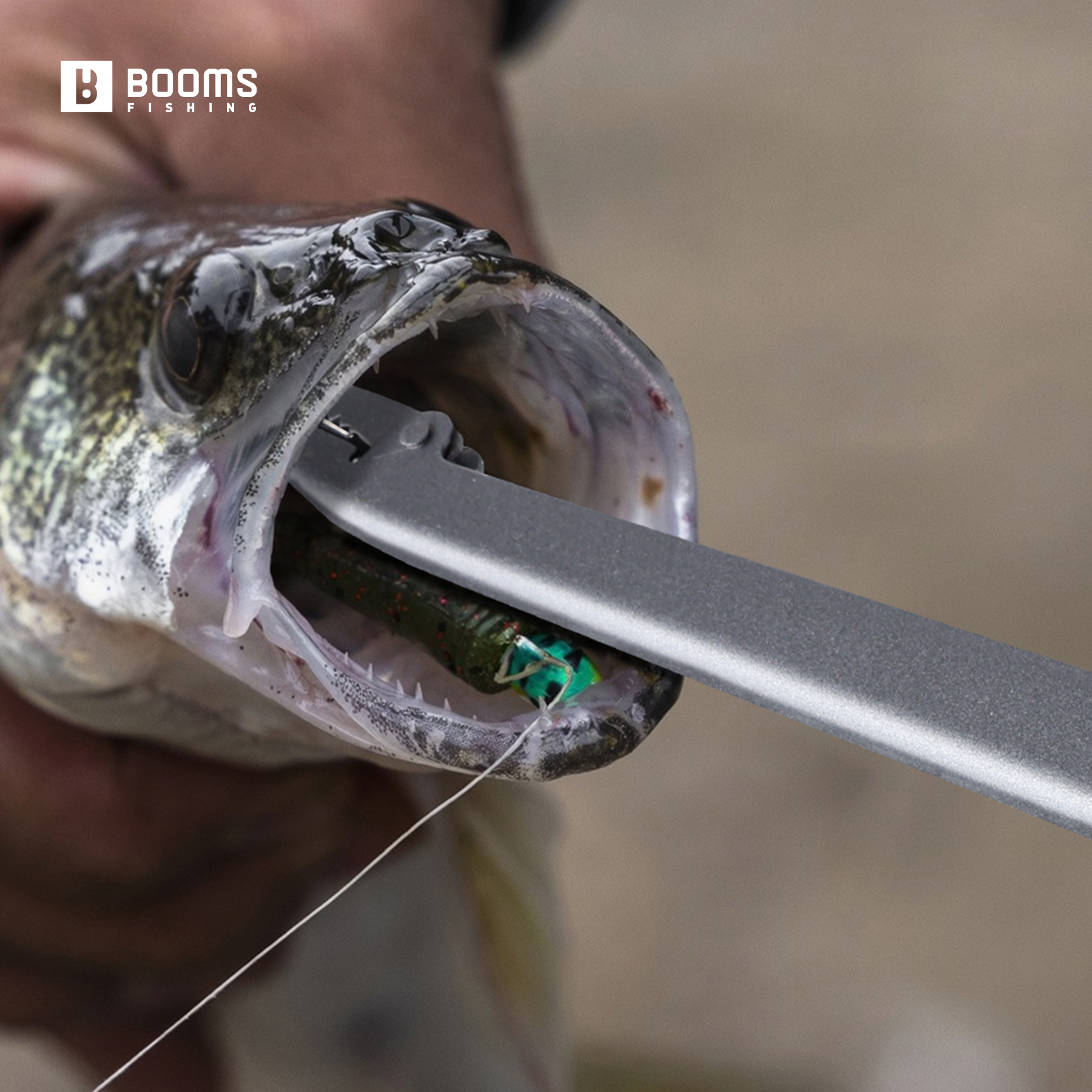 Booms Fishing 25cm Carbon Stee - Fishing Equipment Pictures 评论和价格